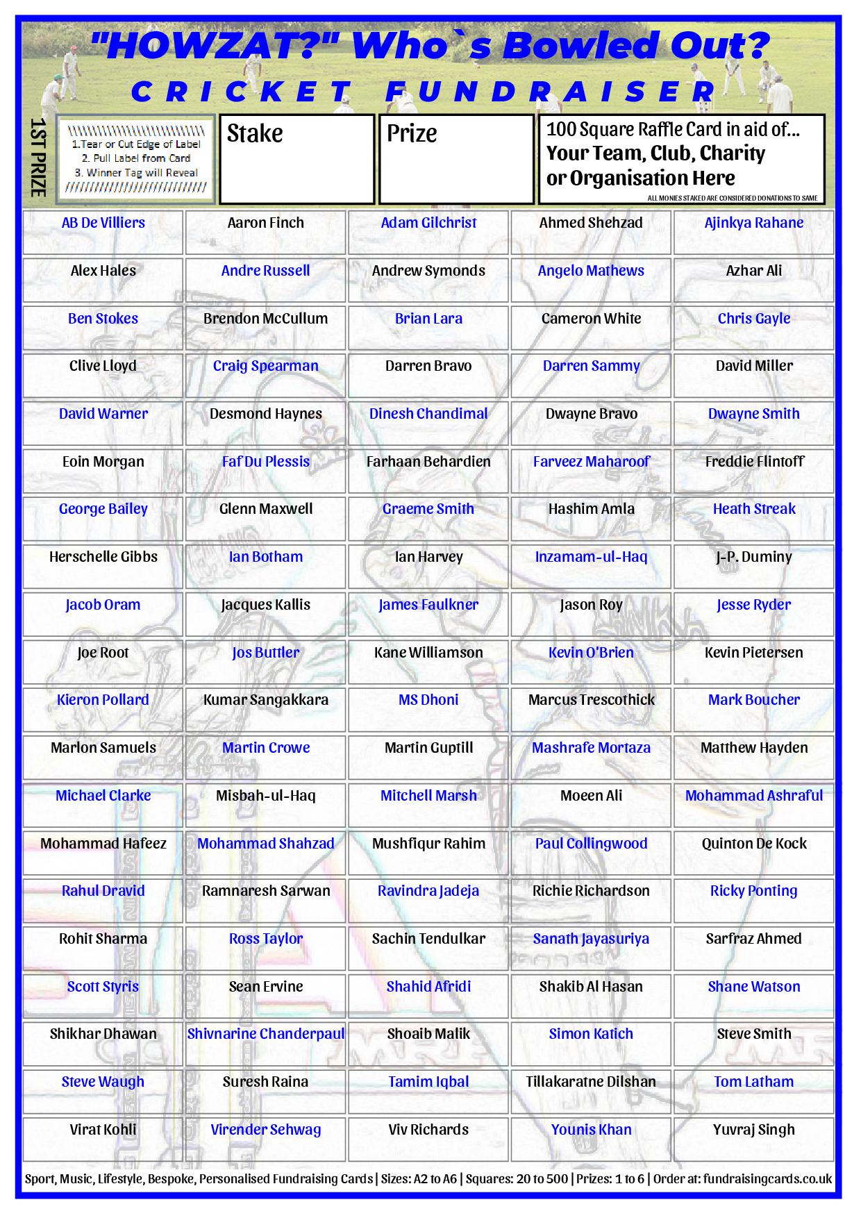 Cricket Fundraising Cards - fundraisingcards.co.uk