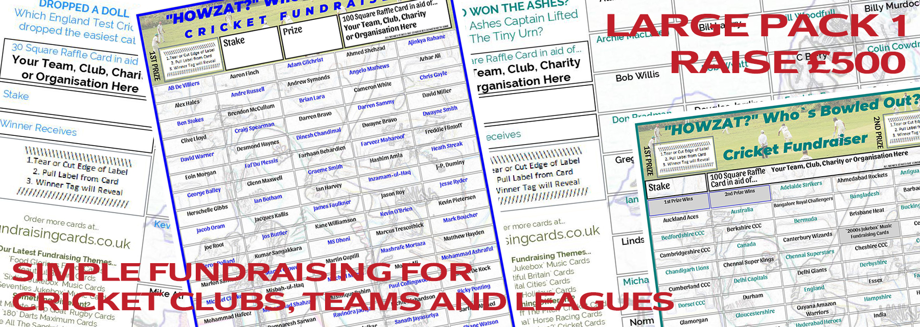Raise �&pound;500 Cricket Club Fundraising Card Pack