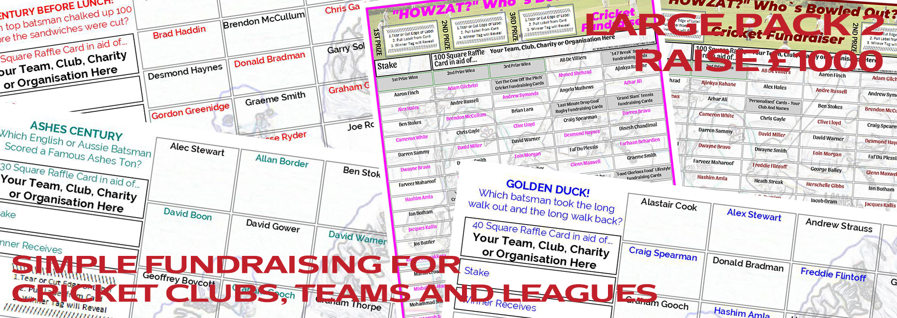 Raise |pound1000 Cricket Club Fundraising Card Pack